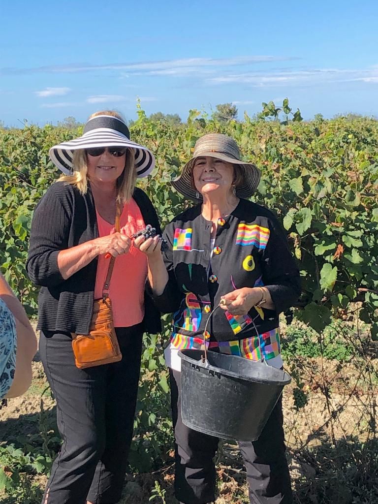 Two women picking grapes on a vineyard on the memories tour